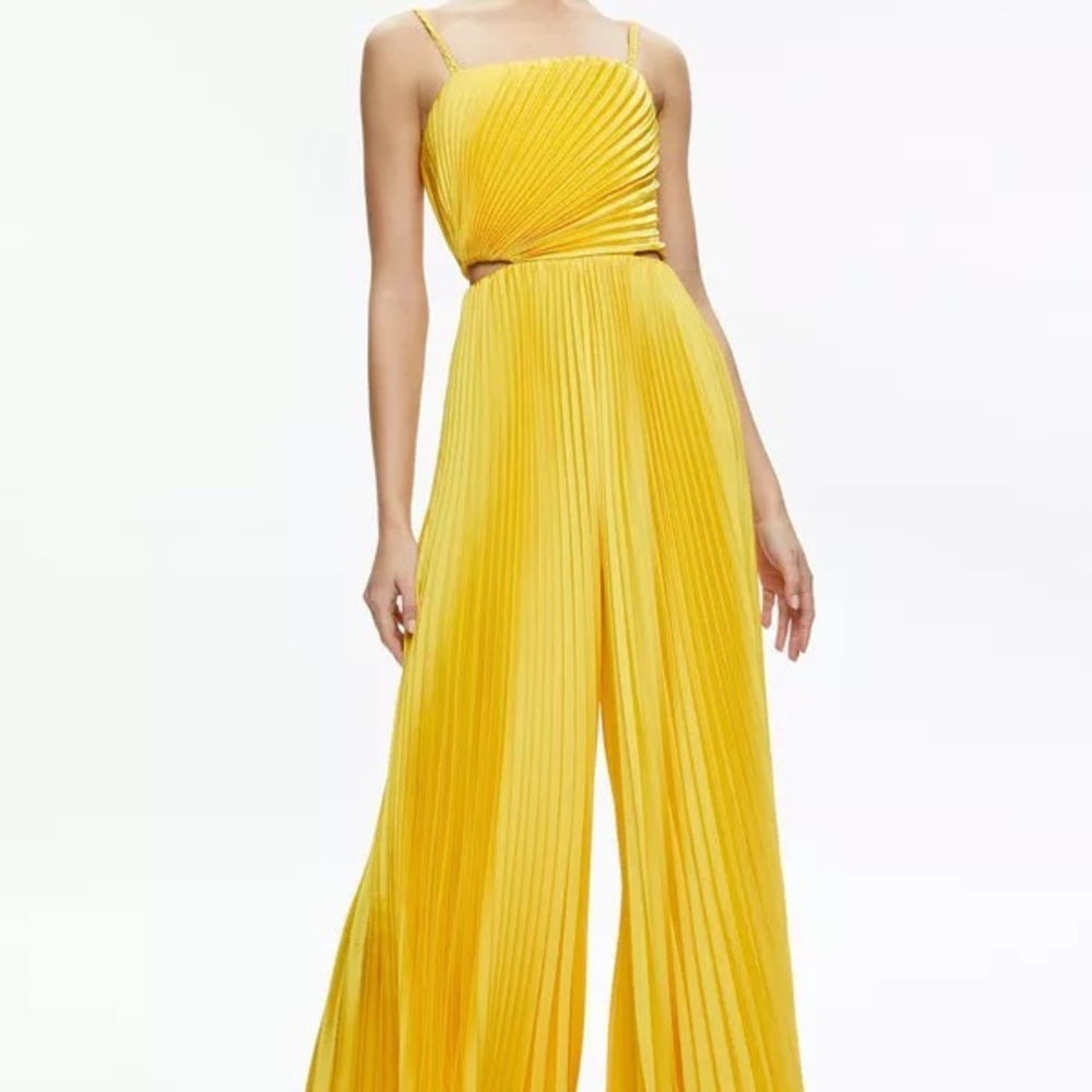 NWT: Alice & Olivia Pleated Jumpsuit